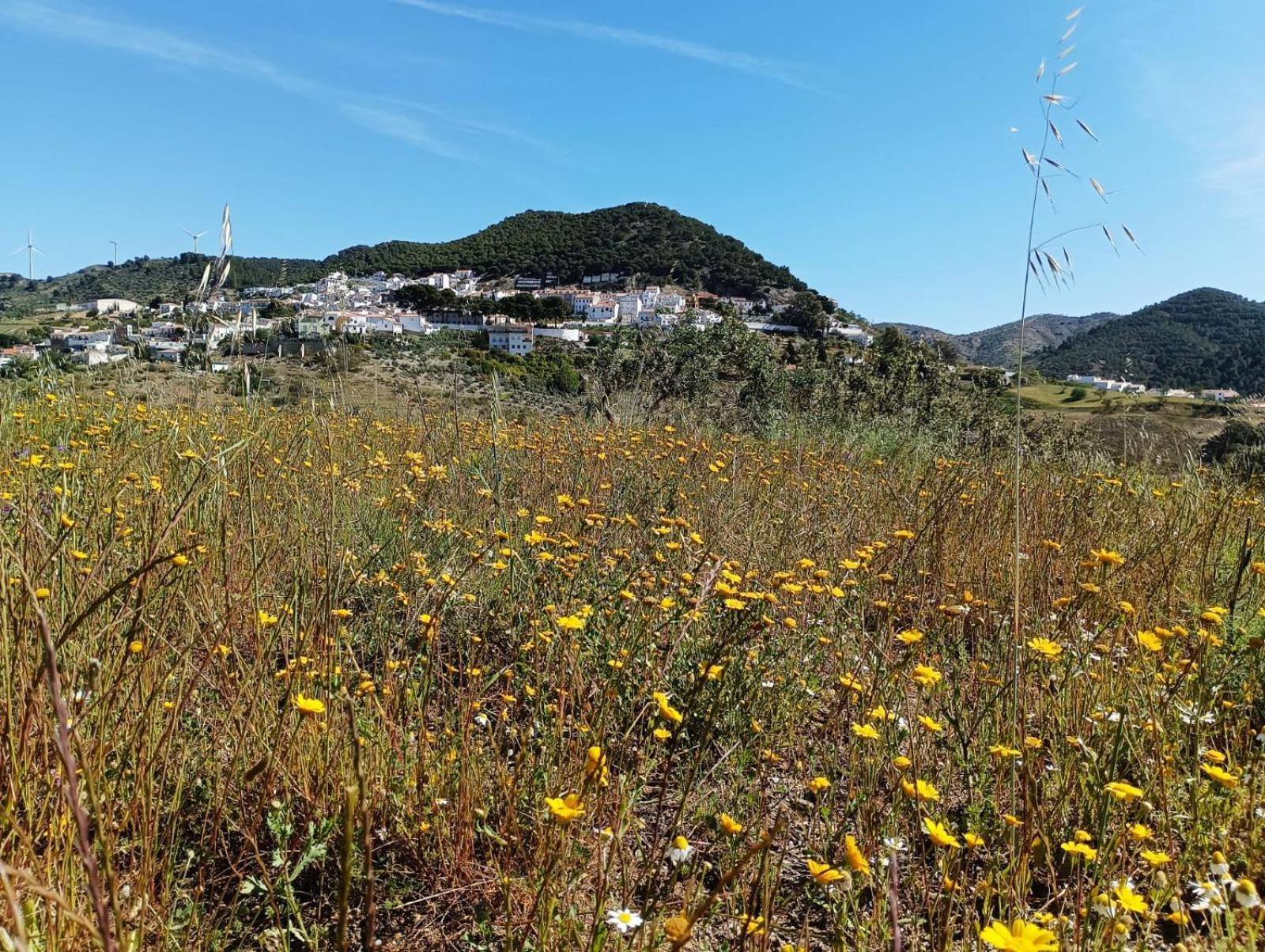 Complejo Rural Los Alcornoquillos Carratraca Kültér fotó