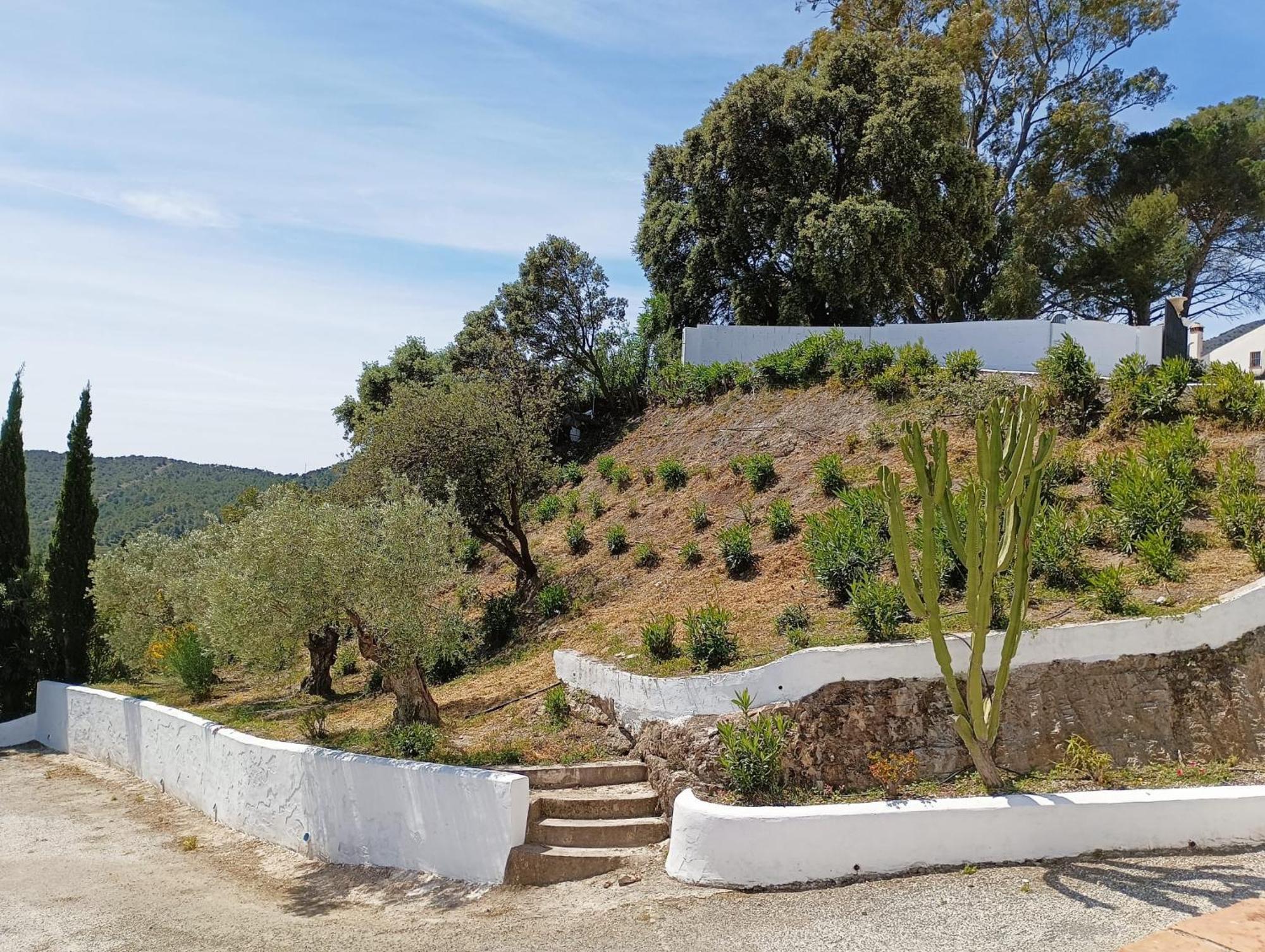 Complejo Rural Los Alcornoquillos Carratraca Kültér fotó